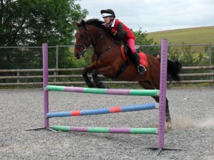 Confidence building is what we do Best at Sillaton Farm Stables