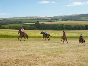 Up the Gallops at Sillaton Farm Stables