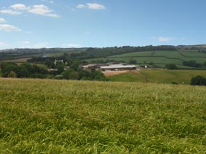 View of Sillaton Farm Stables from the gallops