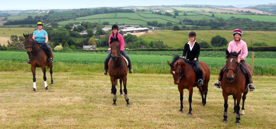 Pausing on the gallops at Sillaton Farm Stables